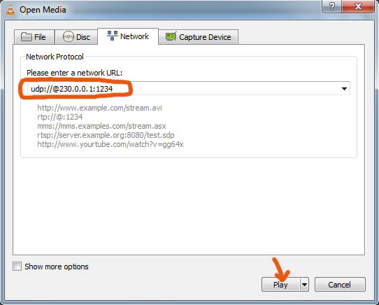 VLC giving UDP URL.jpg